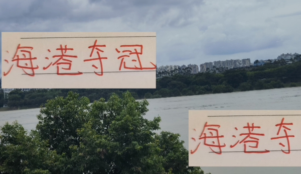 本年海港能否夺冠 要害也曾武磊交班东谈主莱昂纳多