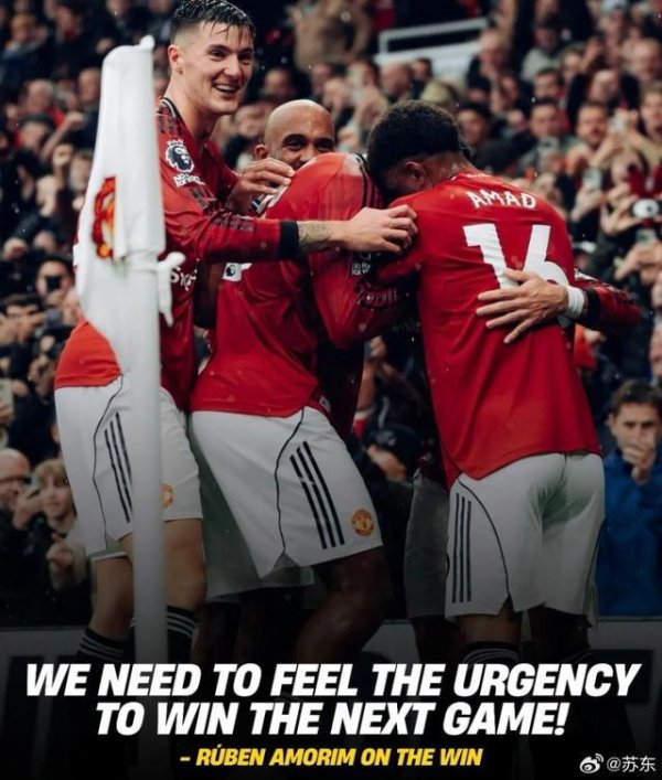 苏东：曼联不要去和强队比拟，应该归于中游球队，这么念念其实不差